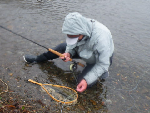 c0202727_20324840.jpg