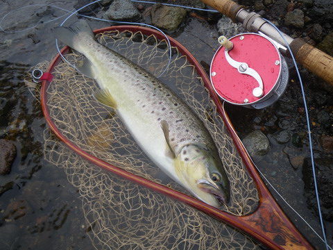 c0202727_20342486.jpg