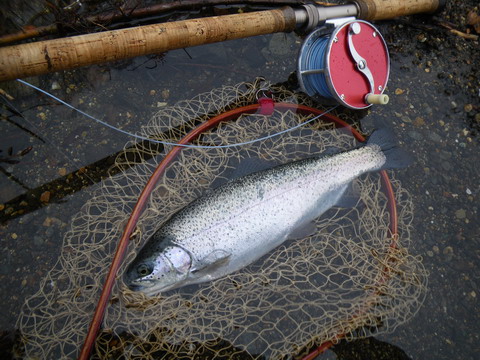 c0202727_2038710.jpg