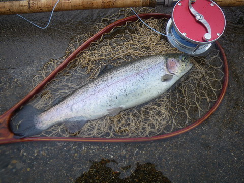 c0202727_20461889.jpg