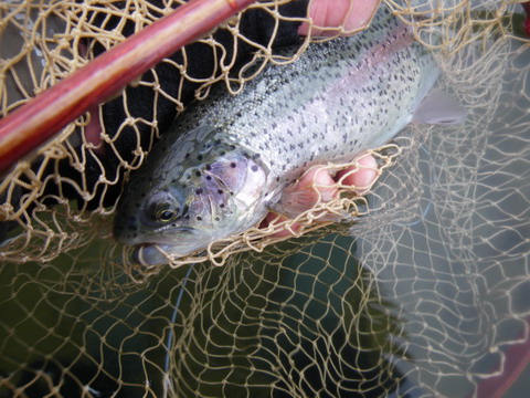c0202727_20474090.jpg