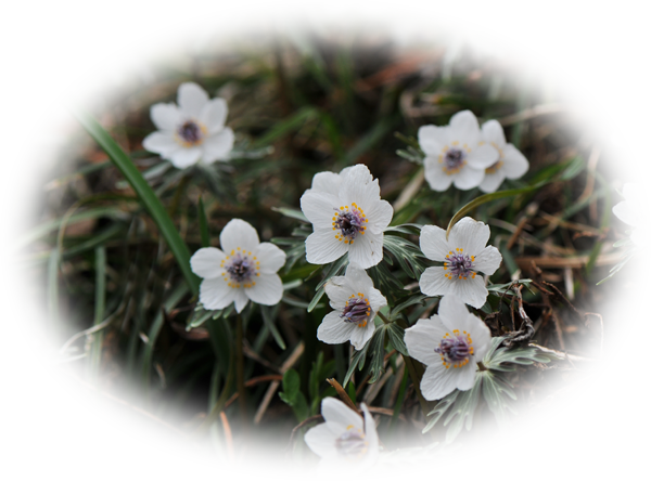 d0029829_11144994.png