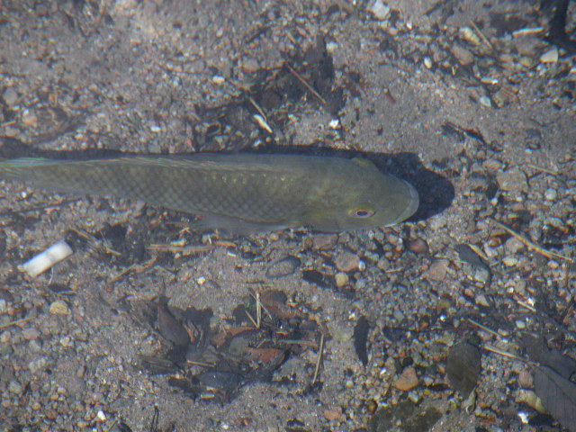 c0141933_1921484.jpg