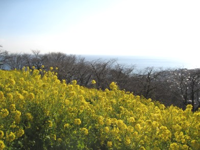 c0090236_1212940.jpg
