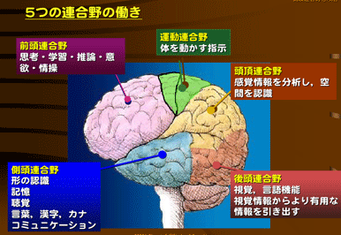 b0217643_18594765.gif