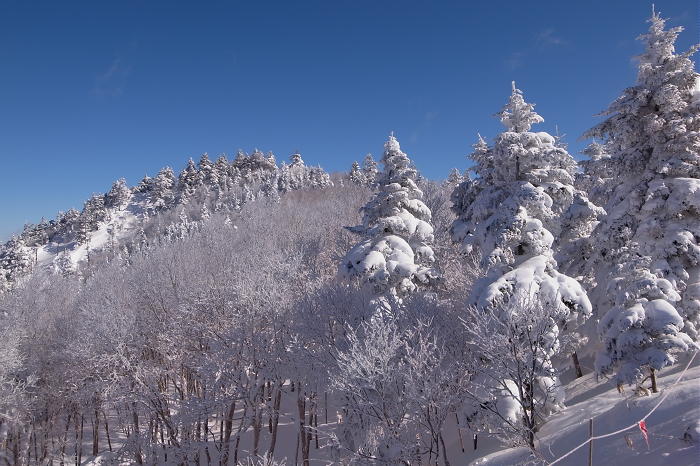 雪山_b0168647_2222538.jpg