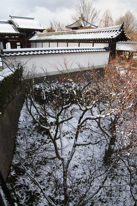冬の美・方丈庭園（東福寺）_f0155048_2326560.jpg