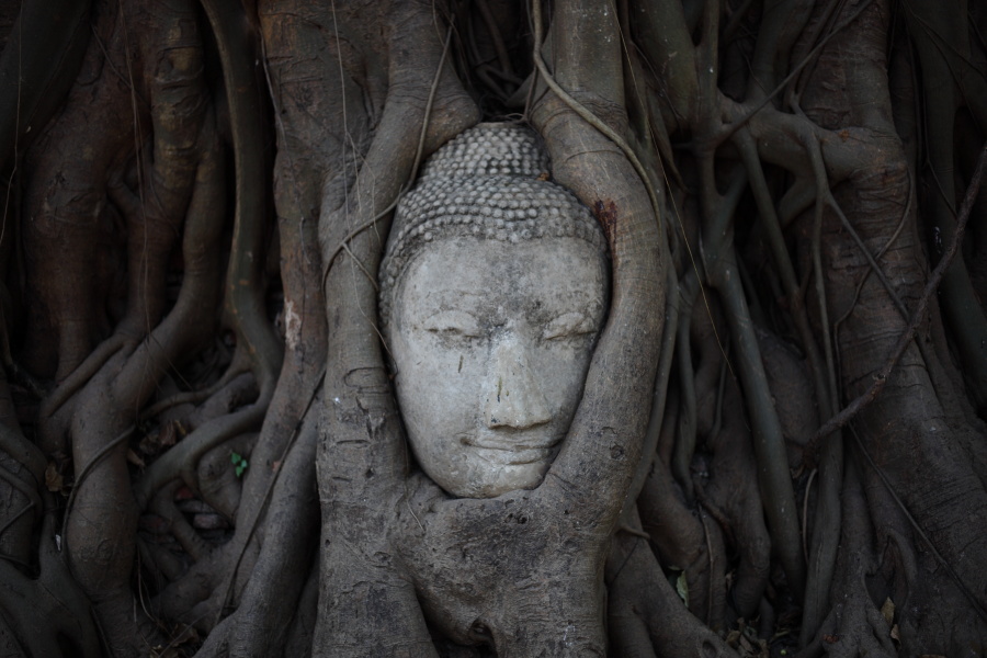 Wat Mahathat at Ayutthaya　（2012年3月2日）_a0094850_13423575.jpg