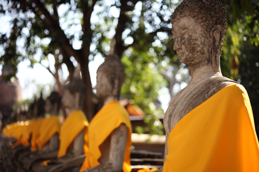 Wat Yai Chai Mongkon-2 at Ayutthaya　（2012年3月4日） _a0094850_1483860.jpg