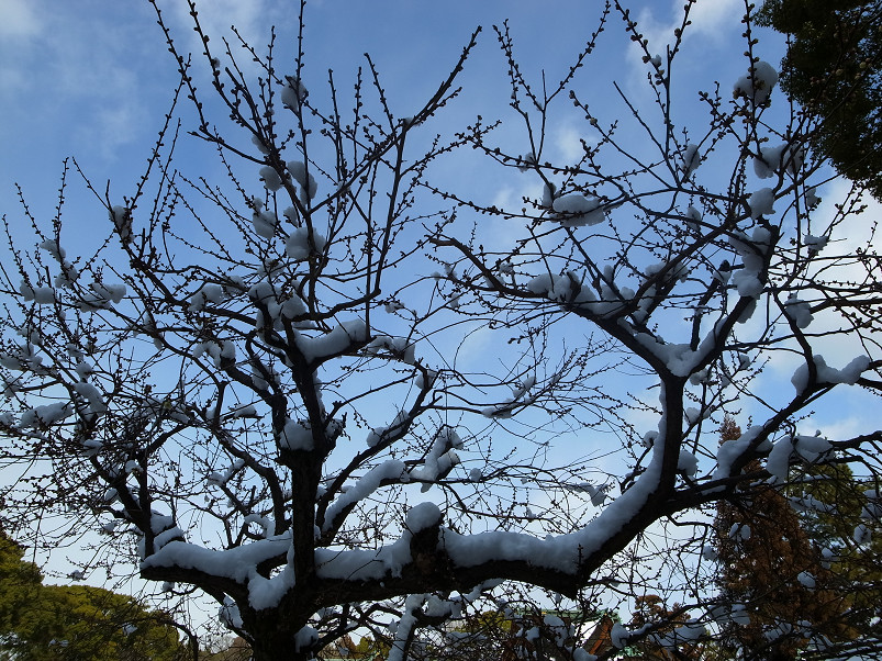 f0152550_19171277.jpg