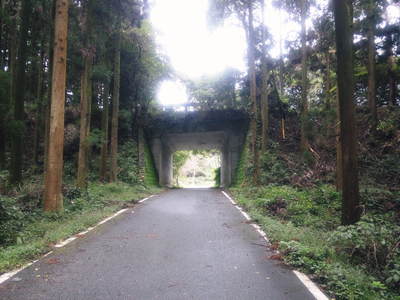 FLC日記 会社どこにあるの?_a0254656_14349100.jpg