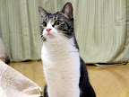 2012.2.26　お届け完了♪_d0038458_2227152.jpg