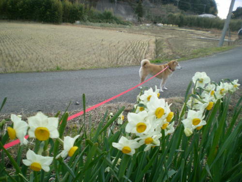 2012年2月26日(日)今日は仲良く?_f0060461_201224.jpg