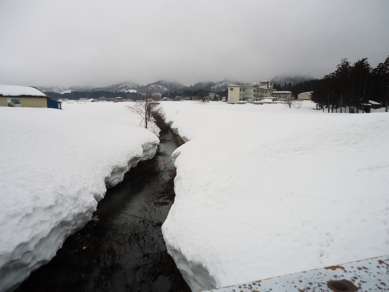 2/26    春の小川はさらさらいくよ_b0161371_1742231.jpg