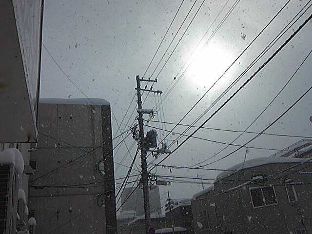 お天気雪・・・_e0188079_13594056.jpg