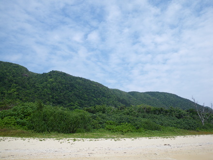 b0125180_10422086.jpg
