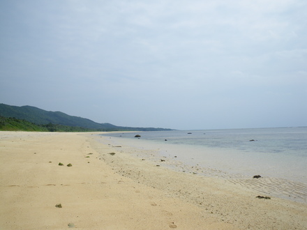 b0125180_10425867.jpg