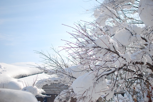 雪見の宿　その3_d0021590_17175298.jpg