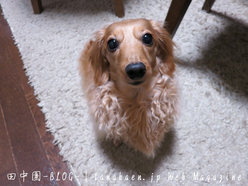 ウォークマン NW-Z1000 Lookout モバイルセキュリティ_b0200291_18323195.jpg