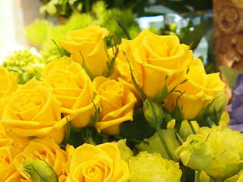 a0196698_2022219.jpg