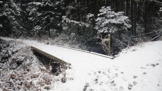 早春の候 　名残雪？とスマホ！_f0036700_15354580.jpg