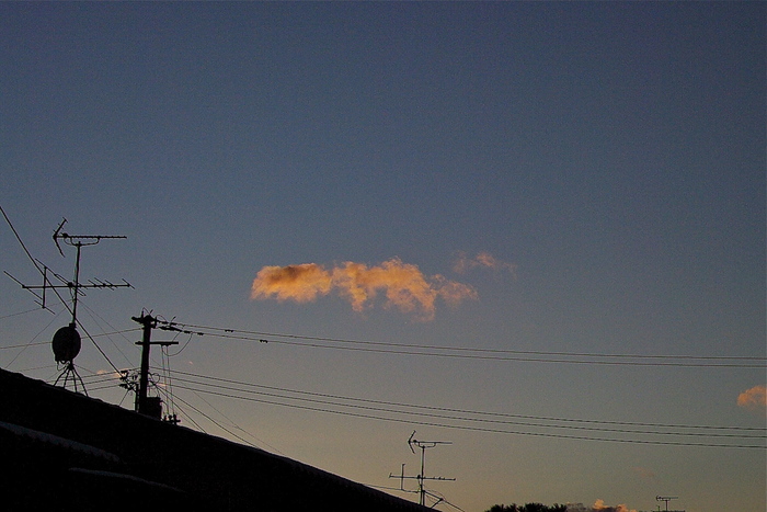 b0190709_17382728.jpg