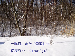 b0200310_163511100.jpg