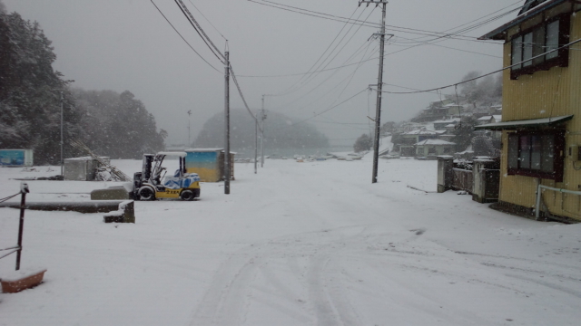 湿った雪【2012/2/25】_b0219510_17261578.jpg