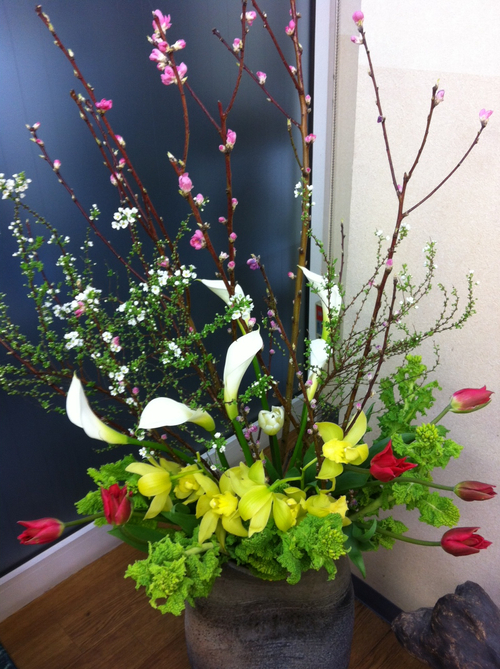 今週のお花&セール情報_a0200423_2048840.jpg