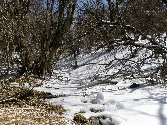 c0141933_23263549.jpg