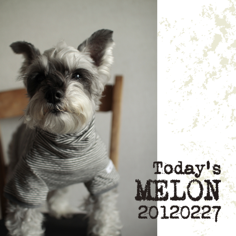 TODAY\'S melon..._c0149339_15332899.jpg