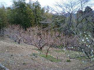 f0210439_11244616.jpg