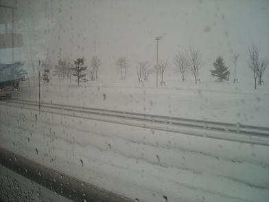c0227640_3393740.jpg