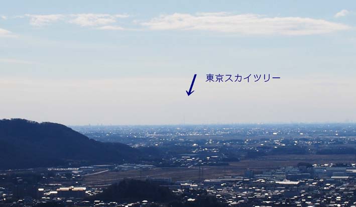 唐沢山城跡から東京を望む 栃木県 佐野市 Tom S Photo