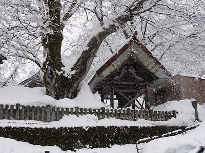 お祭りの準備をしています_a0084753_14444437.jpg