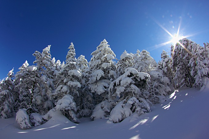 雪の中のお散歩_c0225255_20595268.jpg