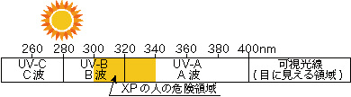 b0147056_20271418.gif
