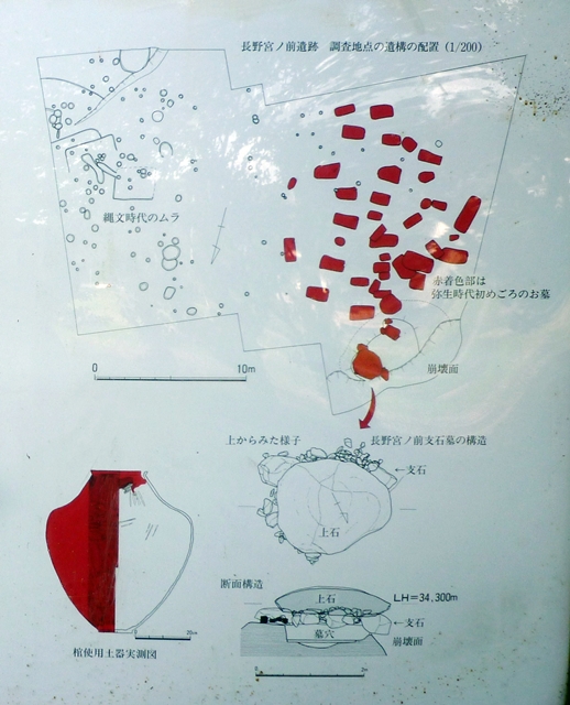 c0222861_20433570.jpg