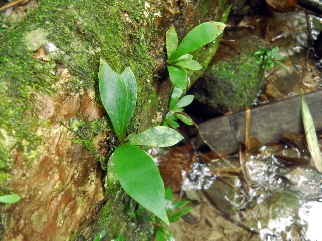 a0067578_98341.jpg