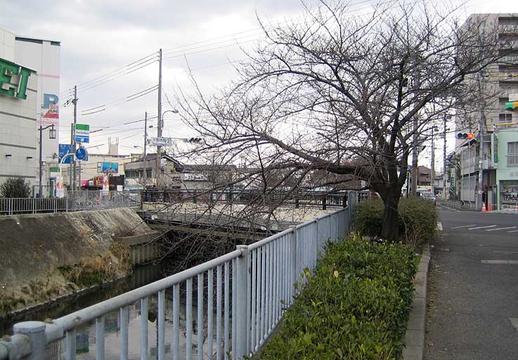 b0057679_915317.jpg