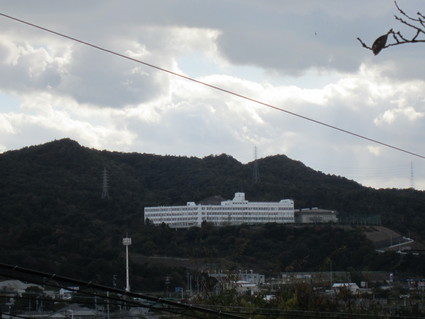 f0053885_20561694.jpg