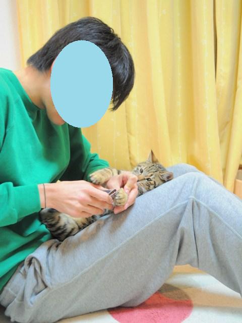 綺麗にしましょ!_a0126590_2252081.jpg