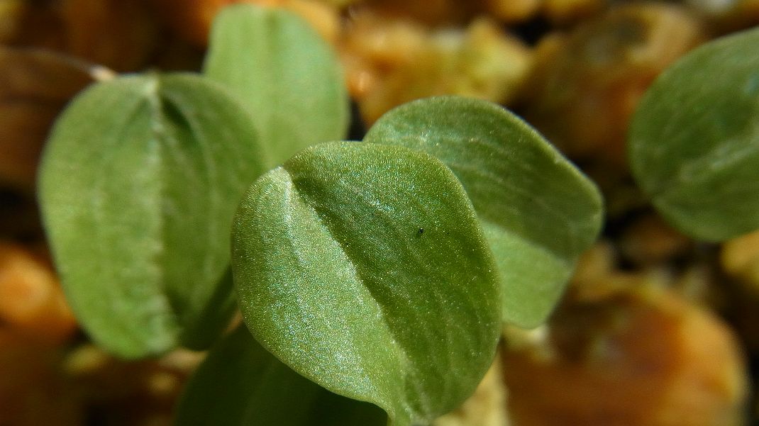 a0152692_18344382.jpg