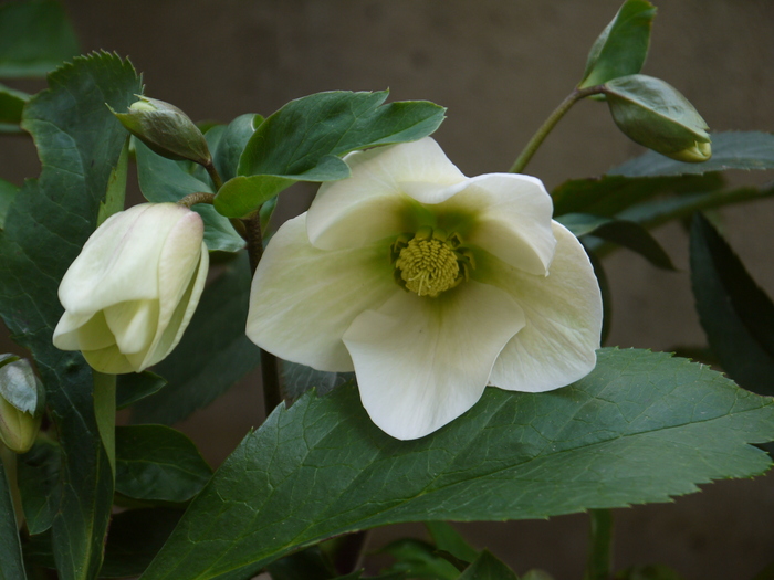 センス_a0233896_17503799.jpg