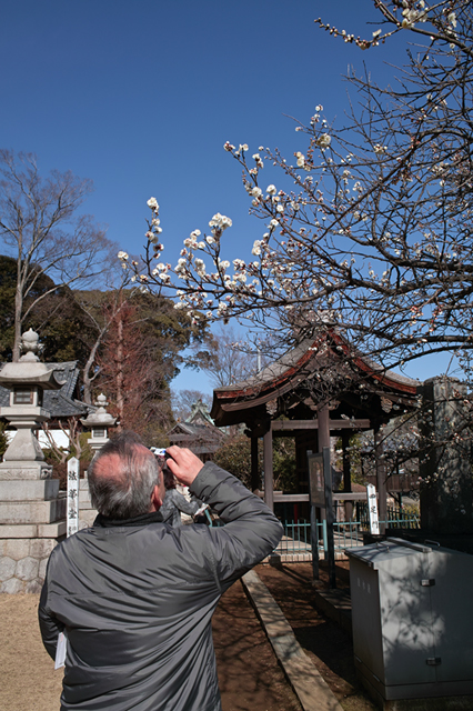 梅の花。。。本日二度目の更新デスぅぅぅ_d0069398_21491384.jpg