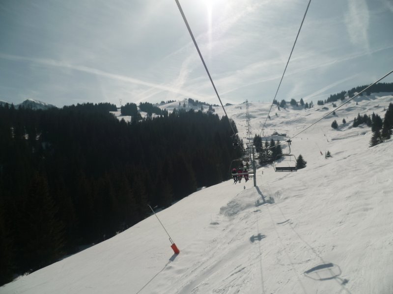 c0240600_52023100.jpg