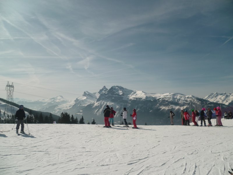 c0240600_521370.jpg