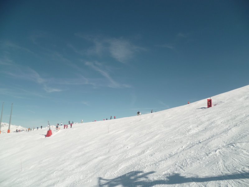 c0240600_5233541.jpg