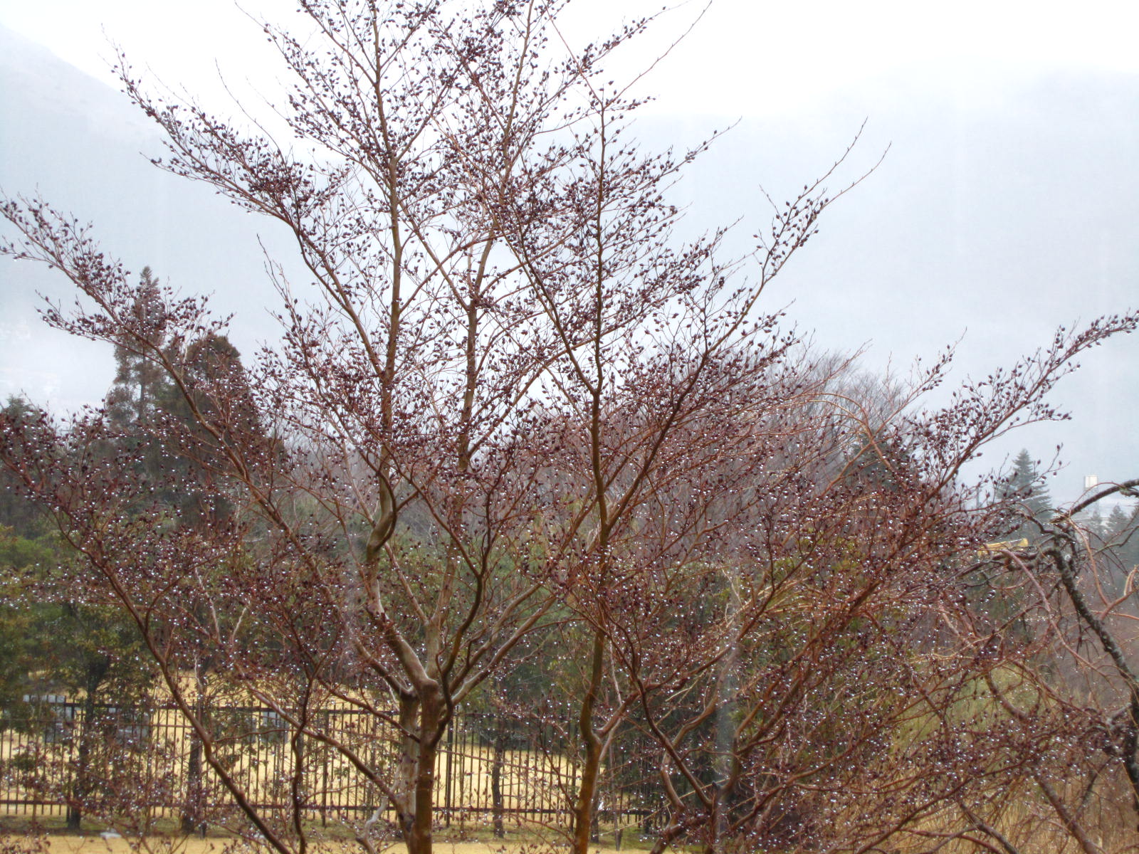 a0002209_16125298.jpg