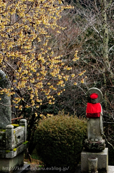 長谷寺　第弐章♪_a0229217_1215074.jpg